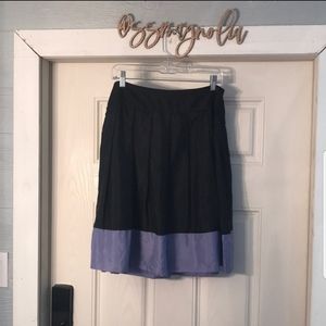 Express Silk Skirt
